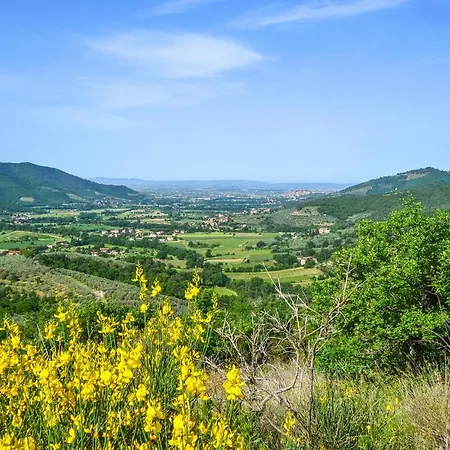 Lovely In *